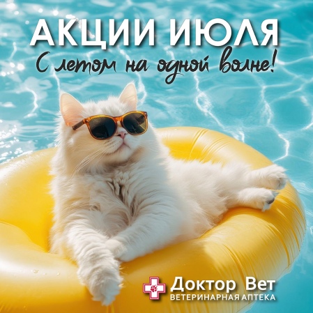 На одной волне с «Доктор Вет»!