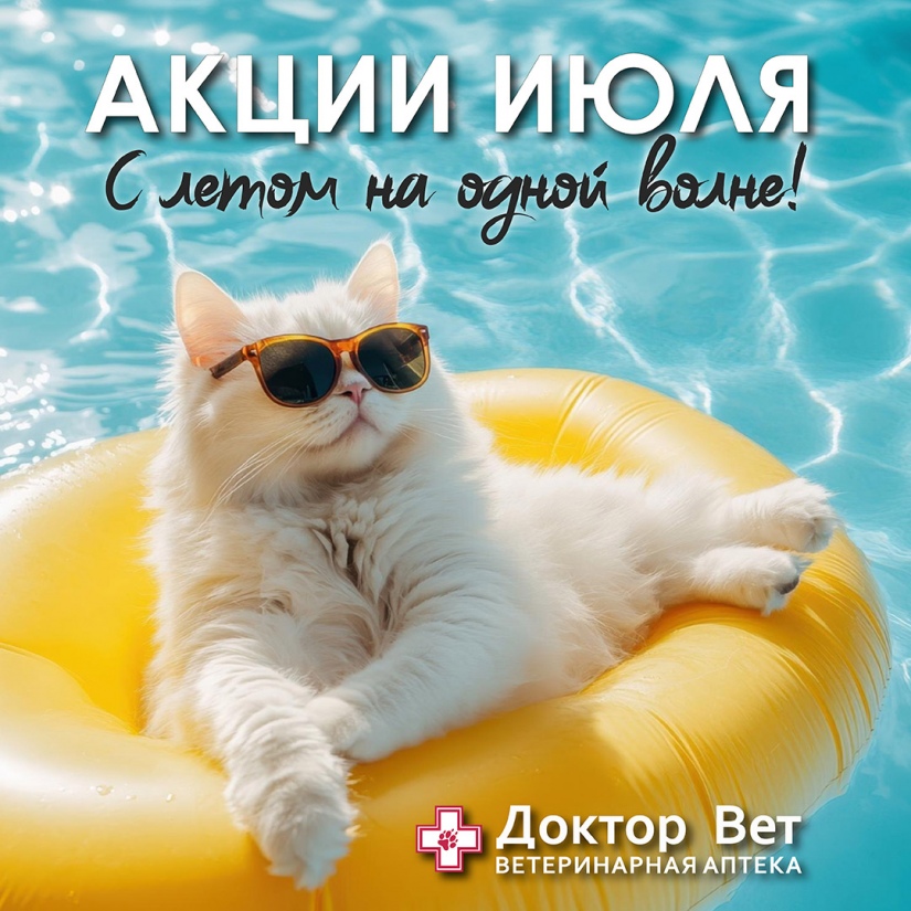 На одной волне с «Доктор Вет»!