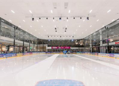 Ледовое шоу