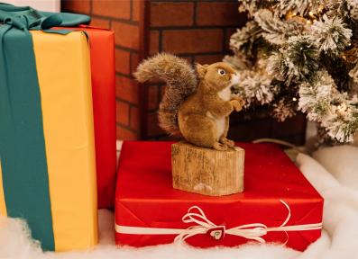 Открытие площадки К.И.Т