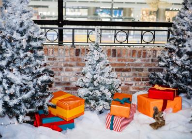 Открытие площадки К.И.Т