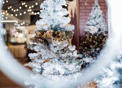 Открытие площадки К.И.Т