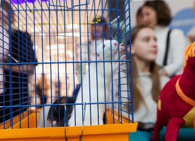 Семейный фестиваль профессий 2023