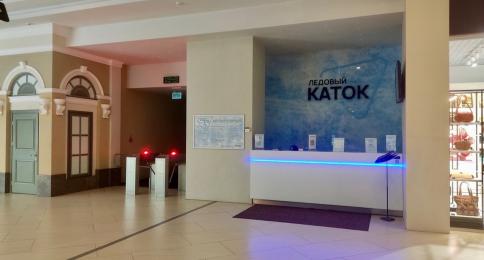 Ледовая арена вариант 4: раздача листовок на катке