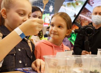 Фестиваль Вокруг Света