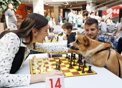 Черная пешка в TRINITI