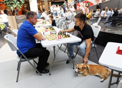 Черная пешка в TRINITI