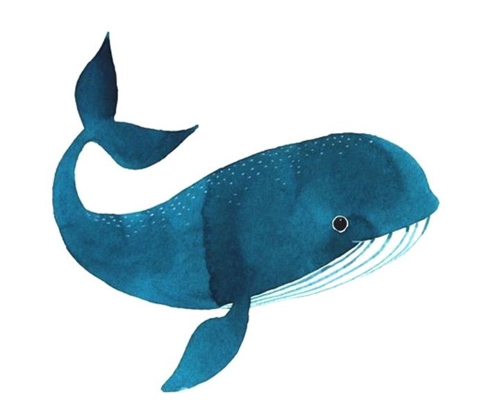 К.И.Т (Книги. Игры. Творчество)