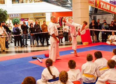 Family Festival of Professions 2023