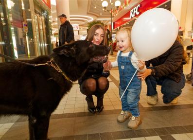 Family Festival of Professions 2023