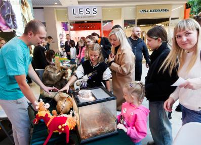 Family Festival of Professions 2023