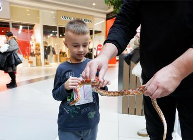 Family Festival of Professions 2023