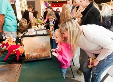 Family Festival of Professions 2023