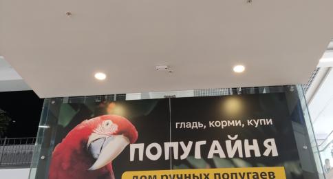 BRANDING OF UPPER ELEVATOR PARTS #1 1ST FLOOR